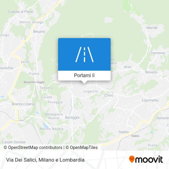 Mappa Via Dei Salici