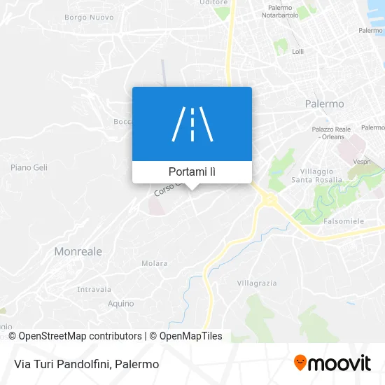 Mappa Via Turi Pandolfini