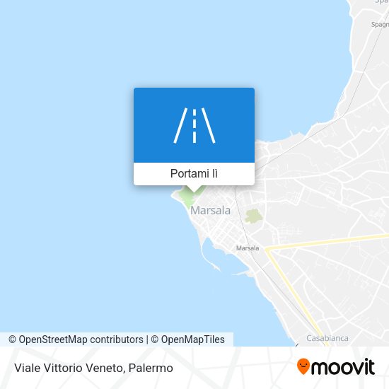Mappa Viale Vittorio Veneto
