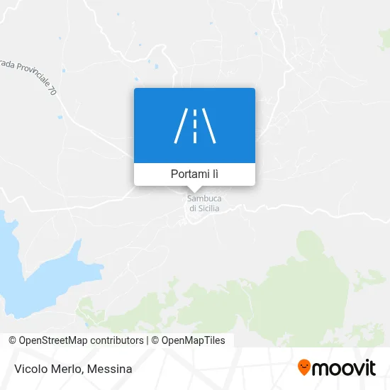 Mappa Vicolo Merlo