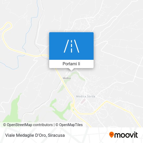 Mappa Viale Medaglie D'Oro
