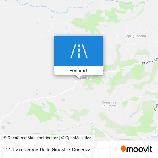 Mappa 1^ Traversa Via Delle Ginestre