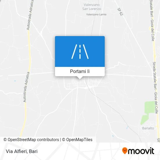 Mappa Via Alfieri