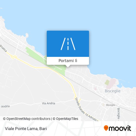 Mappa Viale Ponte Lama