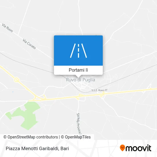 Mappa Piazza Menotti Garibaldi