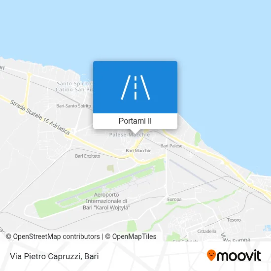 Mappa Via Pietro Capruzzi