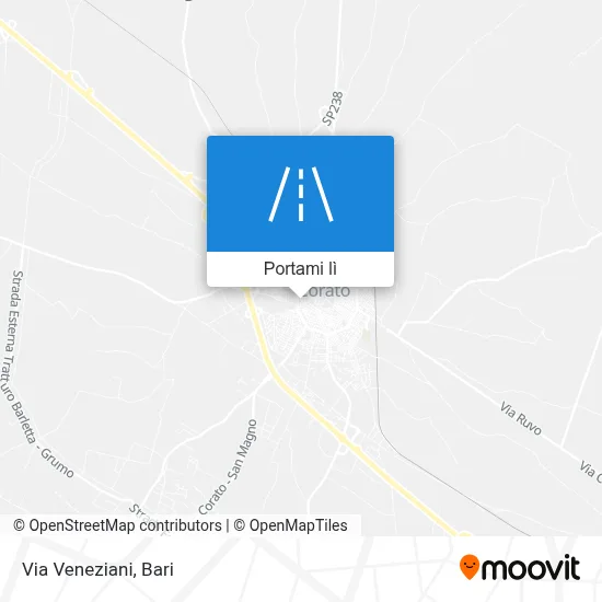 Mappa Via Veneziani