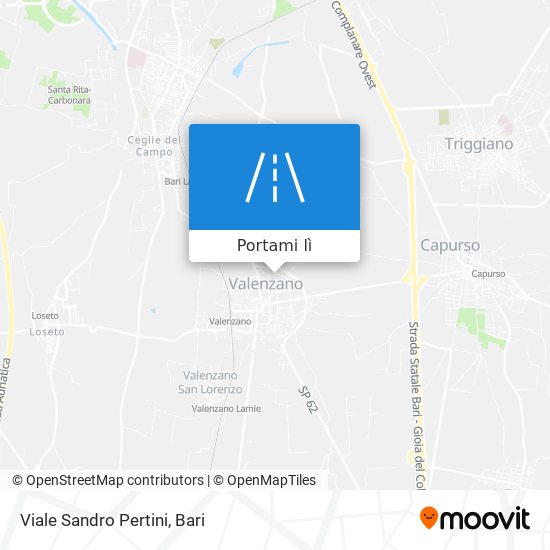 Mappa Viale Sandro Pertini