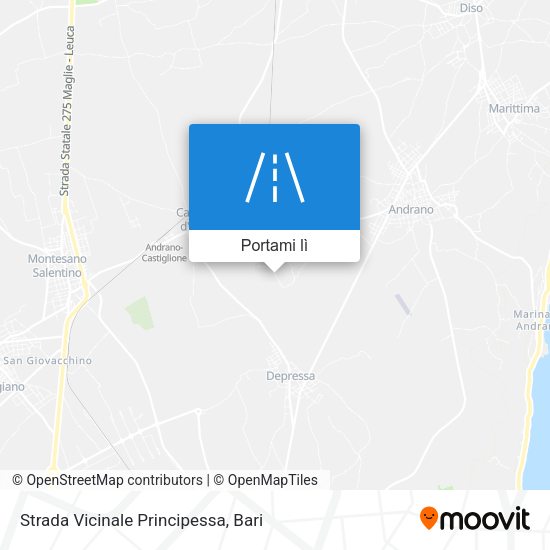 Mappa Strada Vicinale Principessa