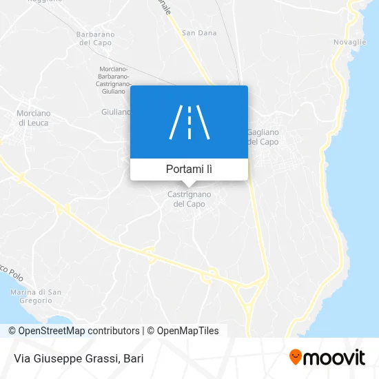 Mappa Via Giuseppe Grassi