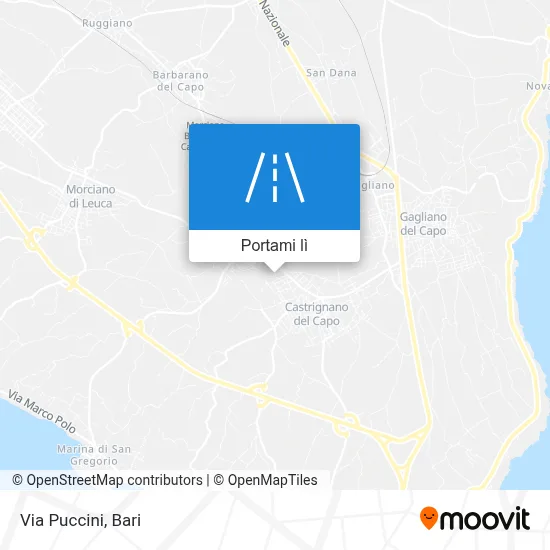 Mappa Via Puccini