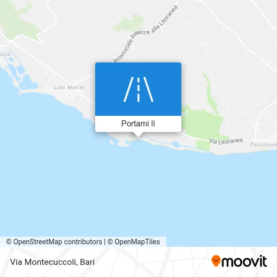Mappa Via Montecuccoli