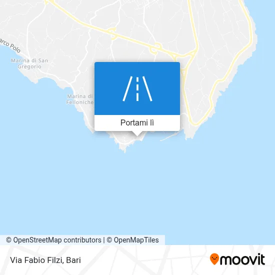 Mappa Via Fabio Filzi