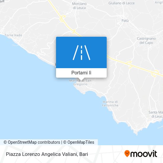 Mappa Piazza Lorenzo Angelica Valiani