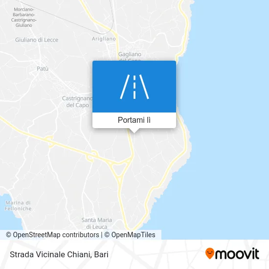 Mappa Strada Vicinale Chiani