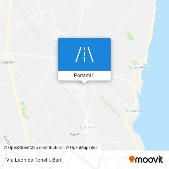 Mappa Via Leonida Tonelli