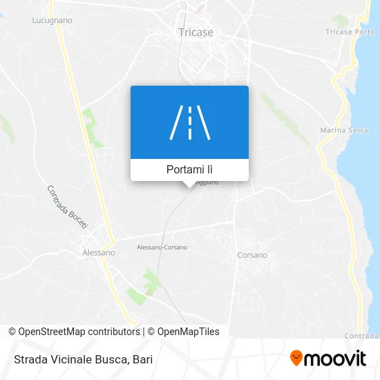 Mappa Strada Vicinale Busca