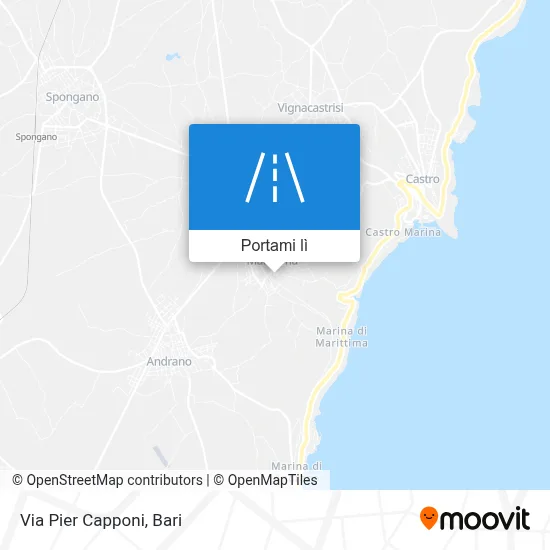 Mappa Via Pier Capponi