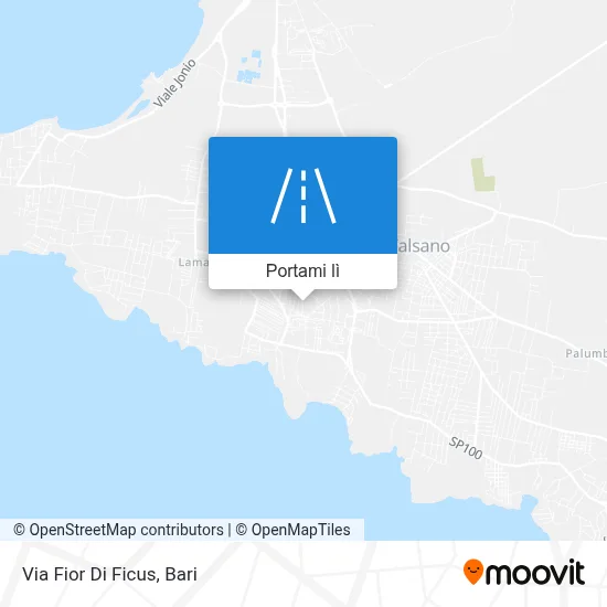 Mappa Via Fior Di Ficus