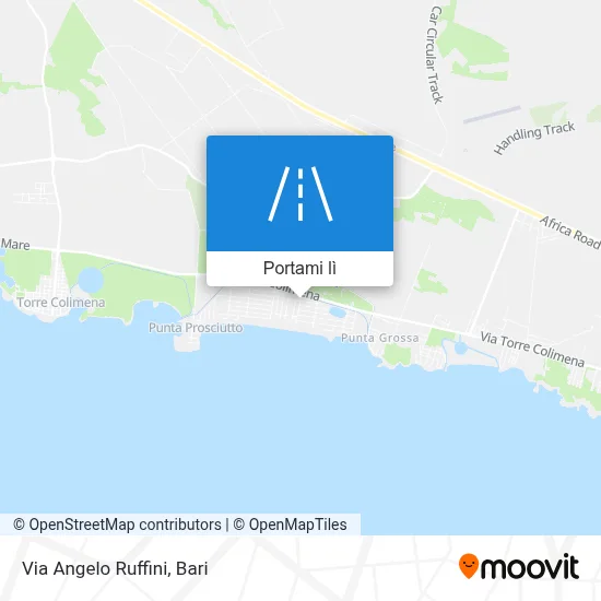 Mappa Via Angelo Ruffini