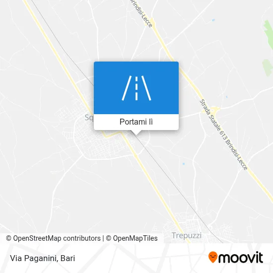 Mappa Via Paganini