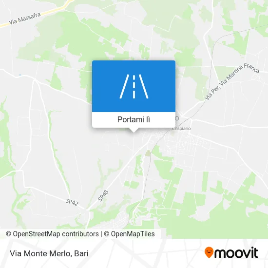 Mappa Via Monte Merlo