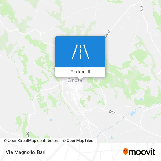 Mappa Via Magnolie