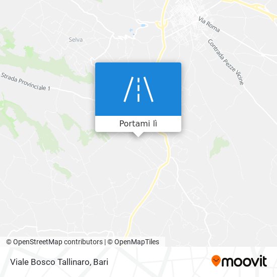 Mappa Viale Bosco Tallinaro