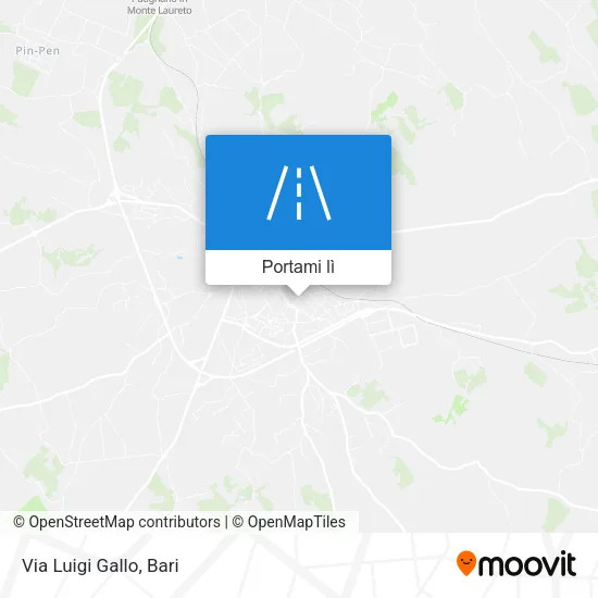 Mappa Via Luigi Gallo