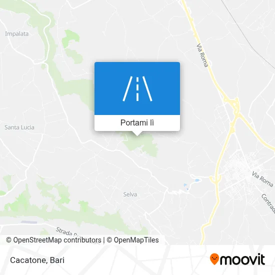 Mappa Cacatone