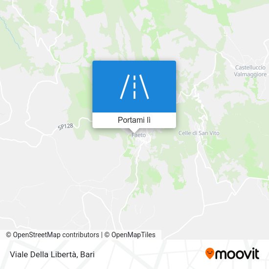 Mappa Viale Della Libertà