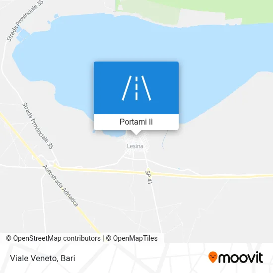 Mappa Viale Veneto