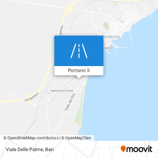 Mappa Viale Delle Palme