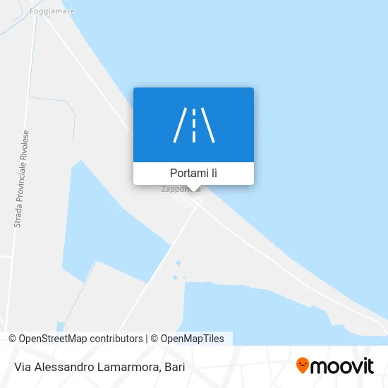 Mappa Via Alessandro Lamarmora