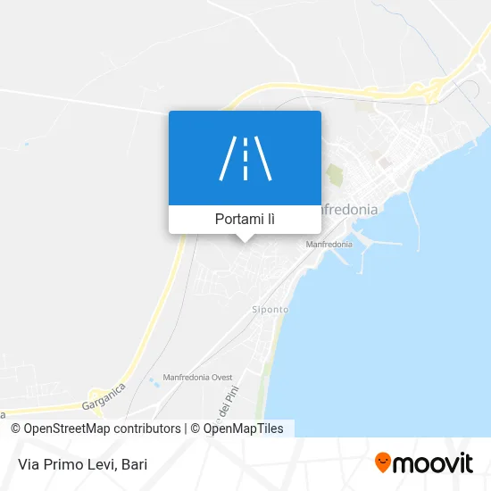 Mappa Via Primo Levi