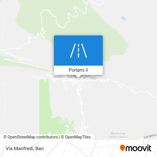 Mappa Via Manfredi