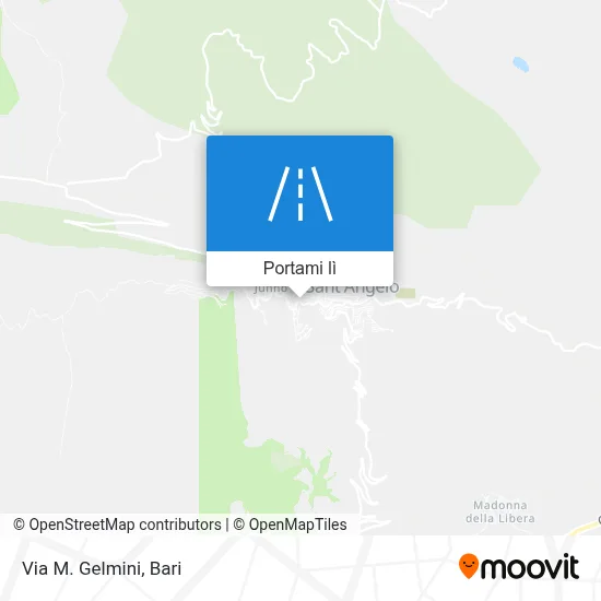 Mappa Via M. Gelmini
