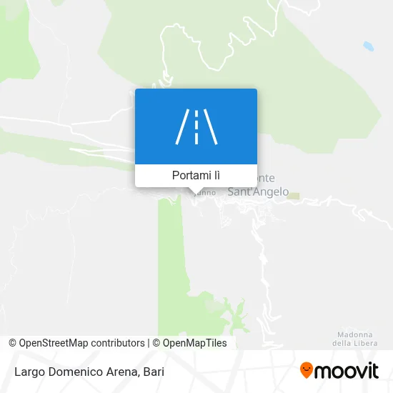 Mappa Largo Domenico Arena