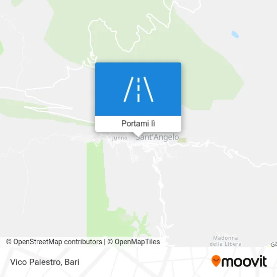 Mappa Vico Palestro