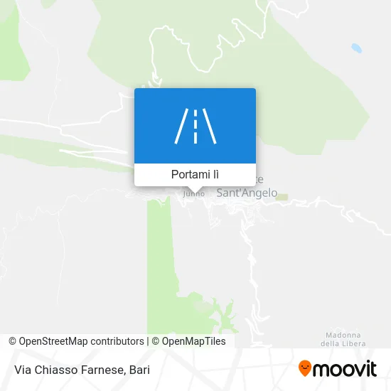 Mappa Via Chiasso Farnese