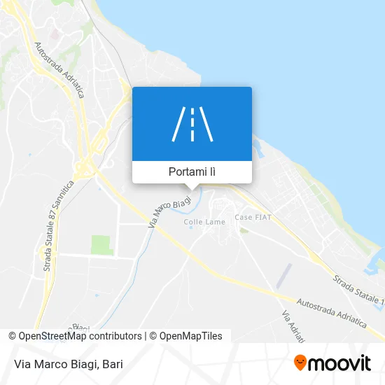 Mappa Via Marco Biagi