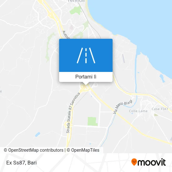 Mappa Ex Ss87