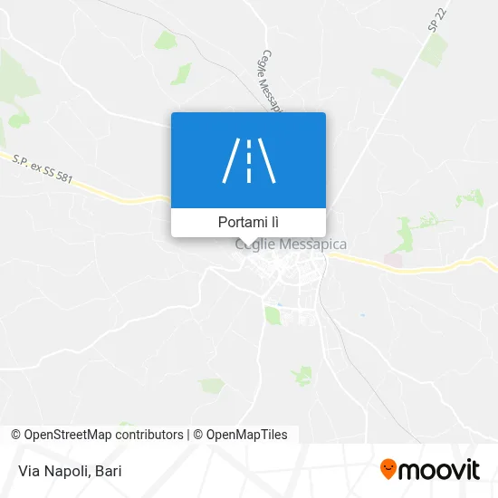 Mappa Via Napoli