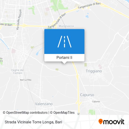 Mappa Strada Vicinale Torre Longa