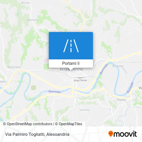 Mappa Via Palmiro Togliatti