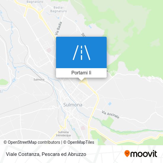 Mappa Viale Costanza