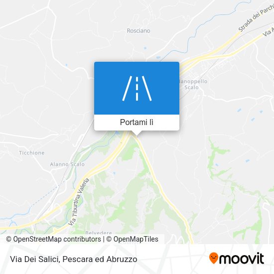 Mappa Via Dei Salici