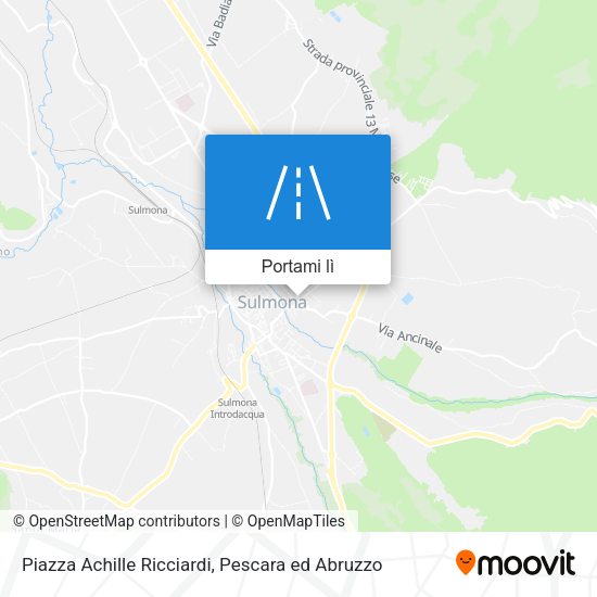 Mappa Piazza Achille Ricciardi