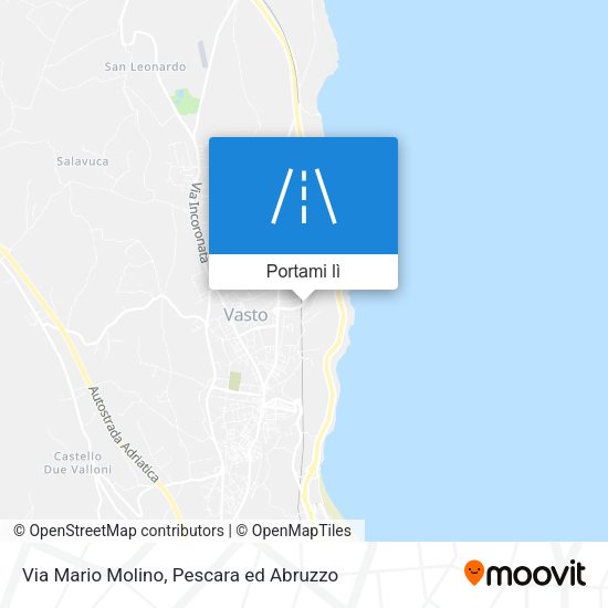 Mappa Via Mario Molino
