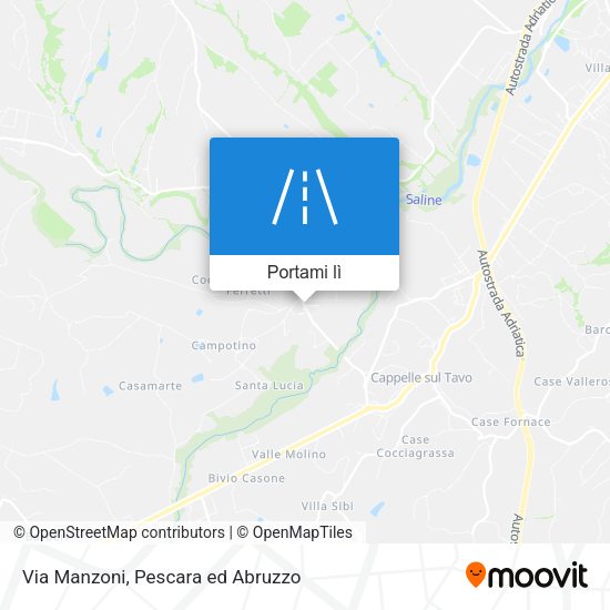 Mappa Via Manzoni